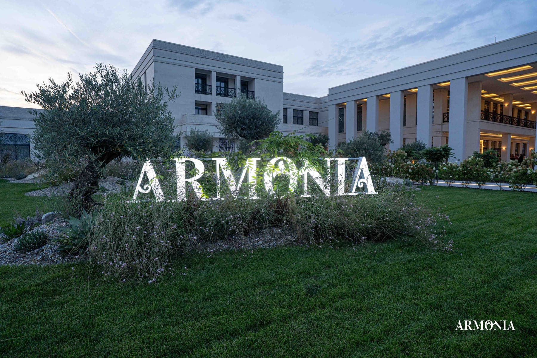 Literele luminoase Armonia așezate pe gazon, printre măslini