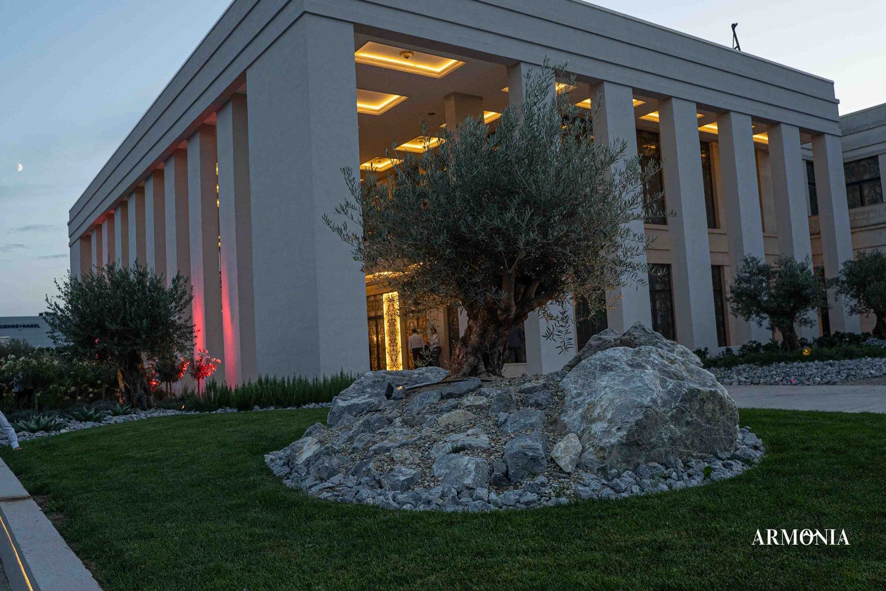 Măslin și rocărie de piatră albă în fața colonadei luminate