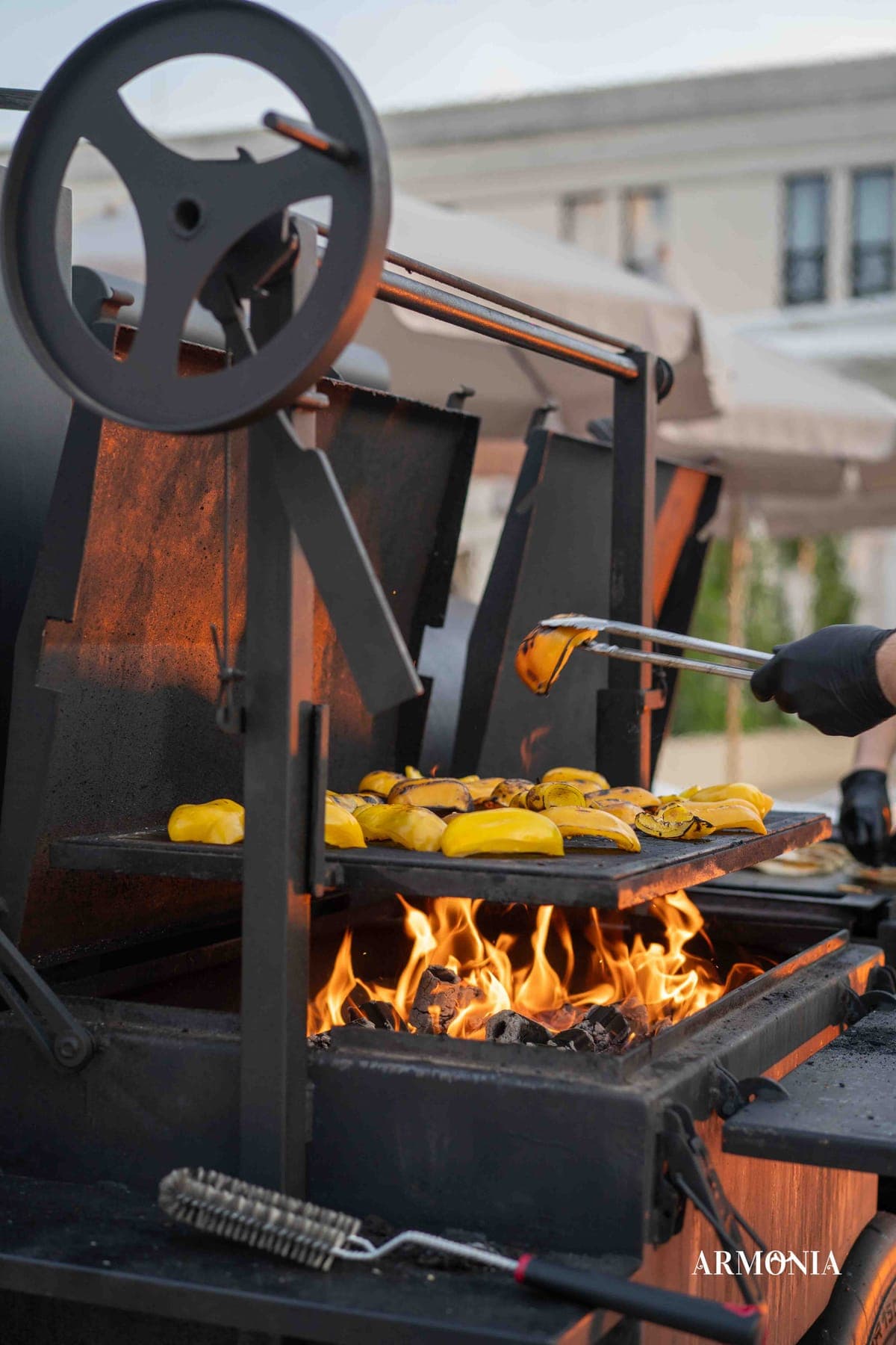 Live cooking pe grătar deschis — flacără și legume la foc