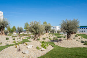 Armonia Venue - Garden