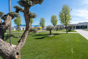 Armonia Venue - Garden