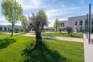 Armonia Venue - Garden
